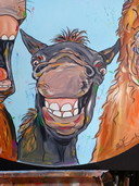 Albert Zieck - Crazy Horses