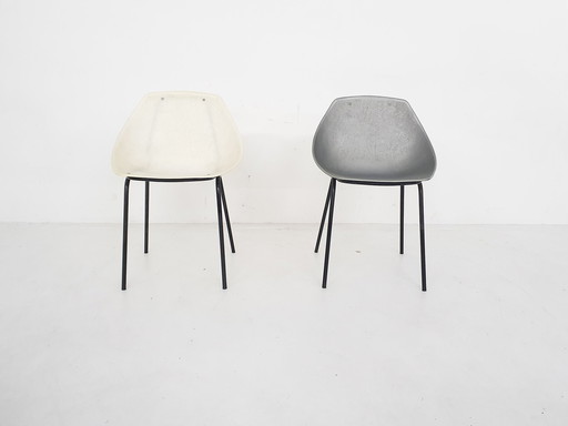 Set van 2 Pierre Guariche voor Meurop 'schelp' eetkamerstoelen, Frankrijk jaren 50