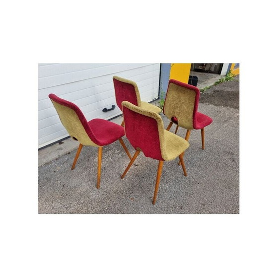 Image 1 of Set van 4 vintage stoelen door Miroslav Navratil, Tsjechië 1960