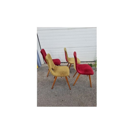 Image 1 of Set van 4 vintage stoelen door Miroslav Navratil, Tsjechië 1960