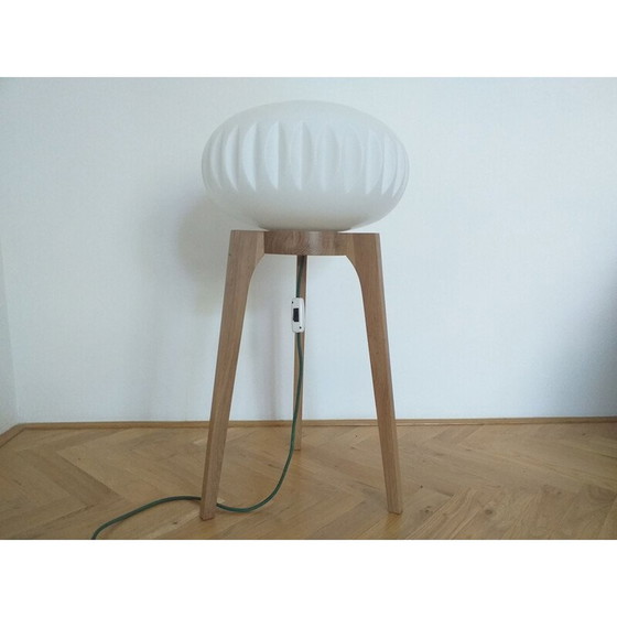 Image 1 of Grote staande lamp ULUV, 1970