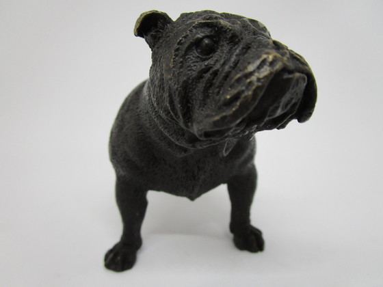 Image 1 of Bronzen Engelse Bulldog