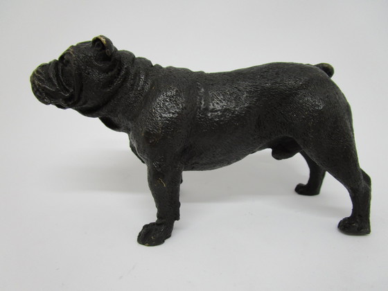 Image 1 of Bronzen Engelse Bulldog