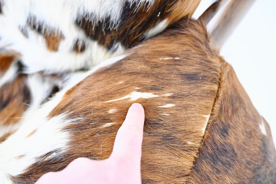 Image 1 of Italiaanse loungestoel, 1970