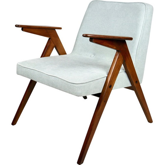 Image 1 of Vintage Bunny fauteuil van Józef Chierowski, 1970