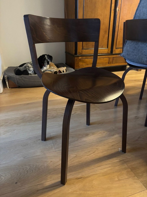 5 X Thonet 404 Eetkamerstoelen Walnoot