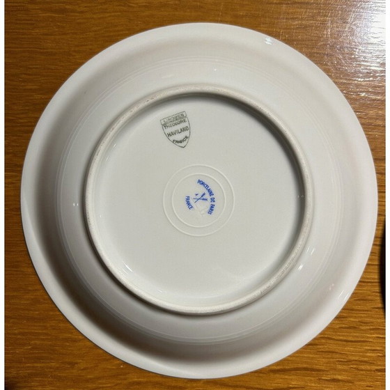 Image 1 of Set van 36 vintage borden door Théodore Haviland voor Porcelaine de Paris, 1960