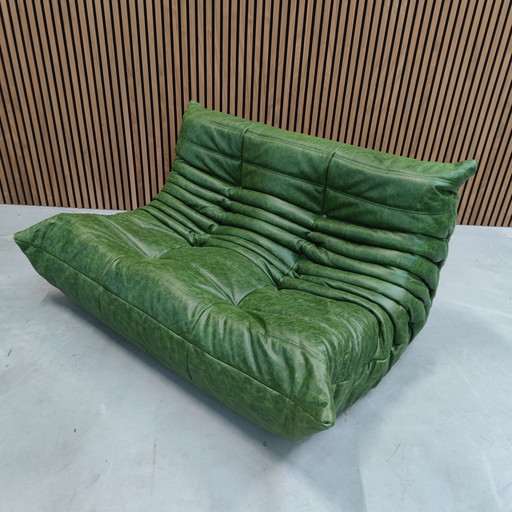 Ligne Roset Togo Groen Leder Tweezits