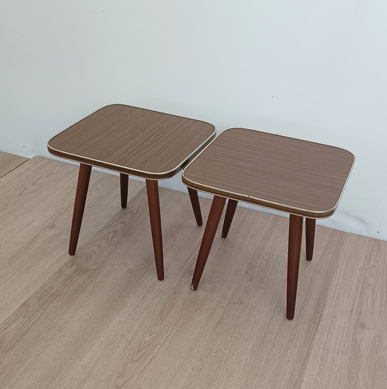 Image 1 of Twee Vijftiger Jaren Plantentafels