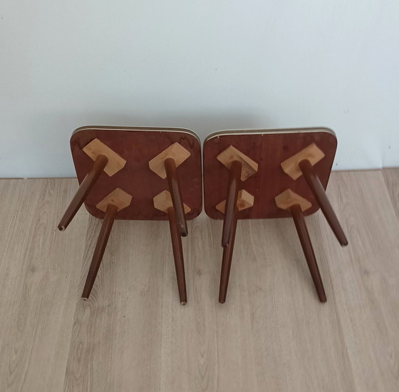 Image 1 of Twee Vijftiger Jaren Plantentafels