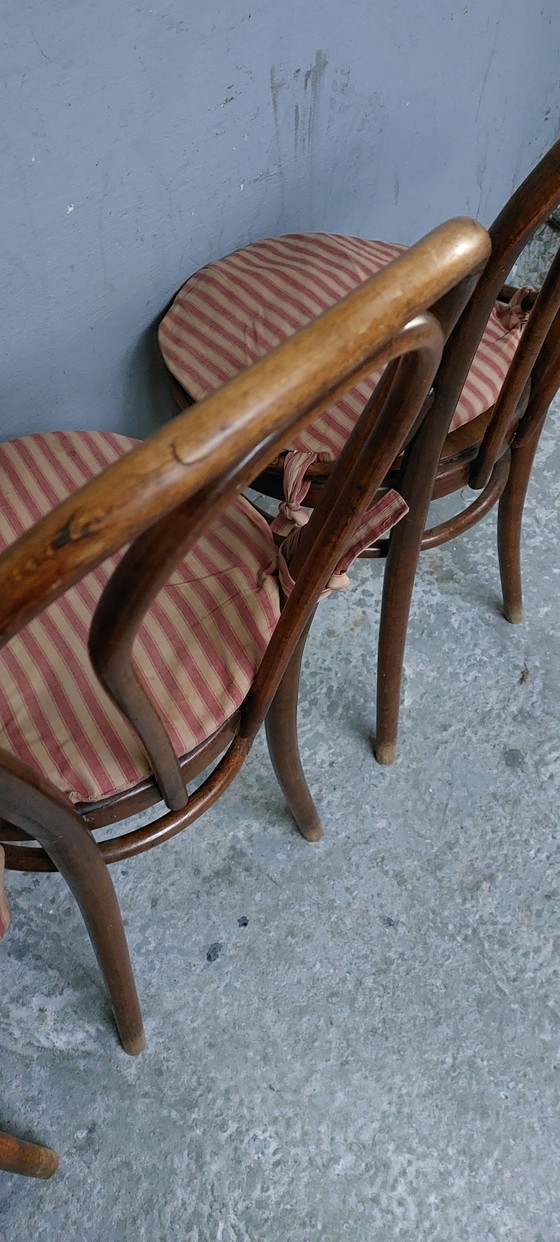 Image 1 of 4 x bentwood Bistro dining chairs 