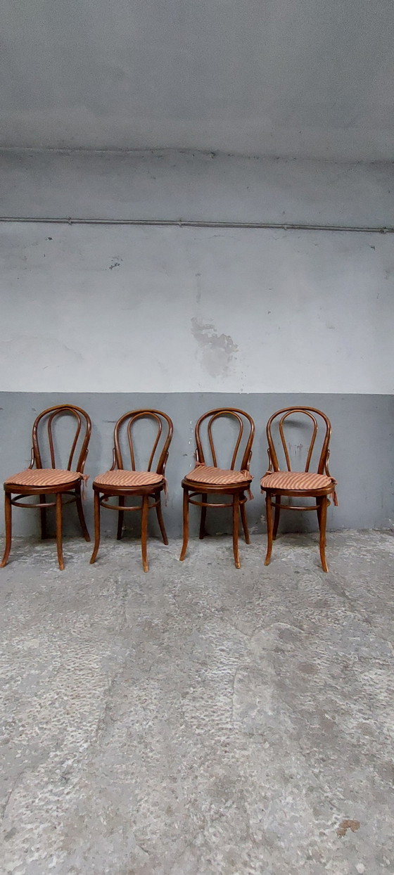 Image 1 of 4 x bentwood Bistro dining chairs 