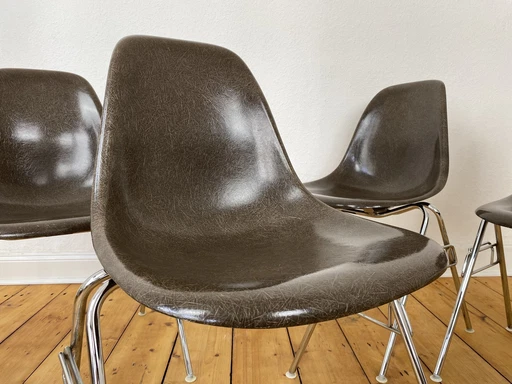 4X Herman Miller Vitra Dss Glasvezel Stoelen Van Charles & Ray Eames In Seal Bruin