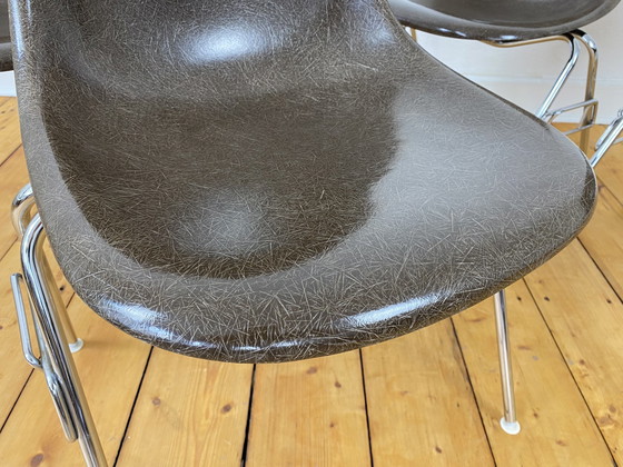 Image 1 of 4X Herman Miller Vitra Dss Glasvezel Stoelen Van Charles & Ray Eames In Seal Bruin