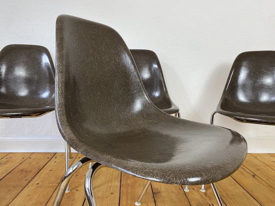 Image 1 of 4X Herman Miller Vitra Dss Glasvezel Stoelen Van Charles & Ray Eames In Seal Bruin