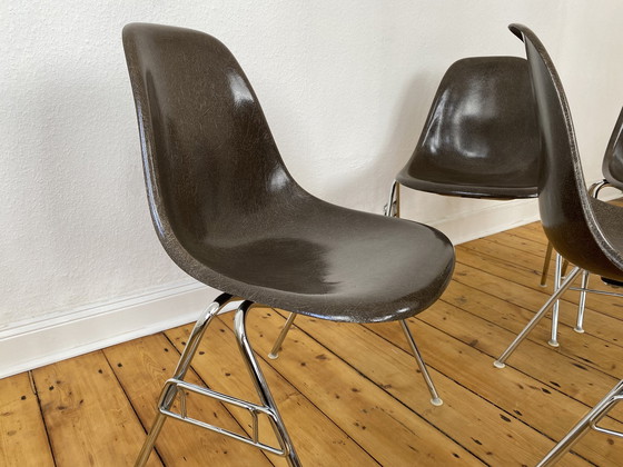 Image 1 of 4X Herman Miller Vitra Dss Glasvezel Stoelen Van Charles & Ray Eames In Seal Bruin