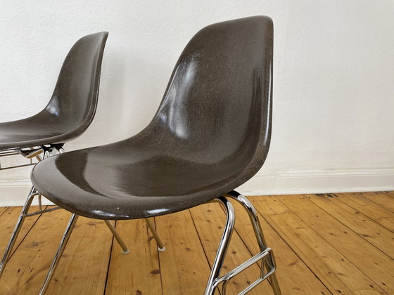 Image 1 of 4X Herman Miller Vitra Dss Glasvezel Stoelen Van Charles & Ray Eames In Seal Bruin