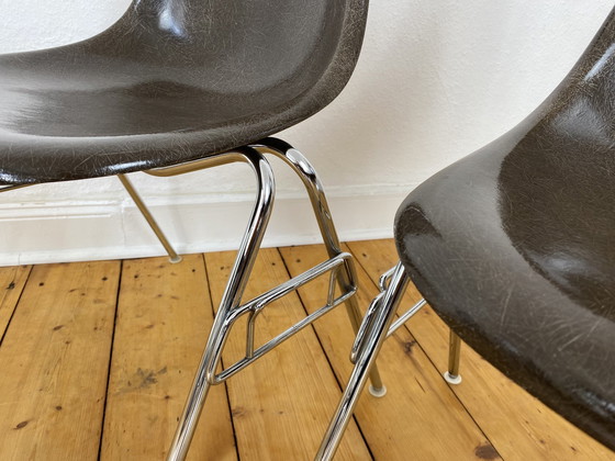 Image 1 of 4X Herman Miller Vitra Dss Glasvezel Stoelen Van Charles & Ray Eames In Seal Bruin