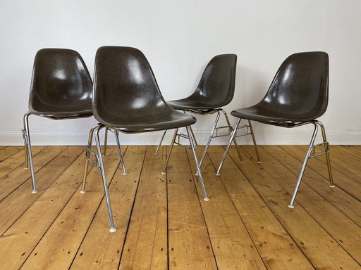 4X Herman Miller Vitra Dss Glasvezel Stoelen Van Charles & Ray Eames In Seal Bruin