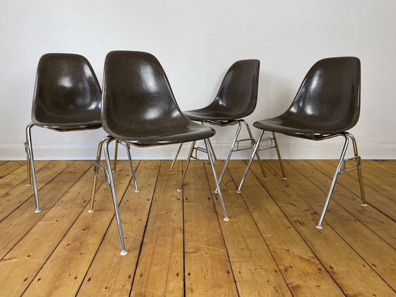 Image 1 of 4X Herman Miller Vitra Dss Glasvezel Stoelen Van Charles & Ray Eames In Seal Bruin