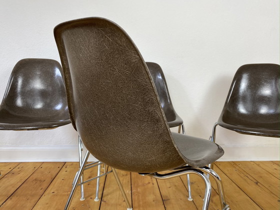 Image 1 of 4X Herman Miller Vitra Dss Glasvezel Stoelen Van Charles & Ray Eames In Seal Bruin