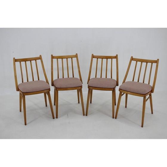Image 1 of Set van 4 vintage beuken stoelen van Antonin Suman, jaren 1970