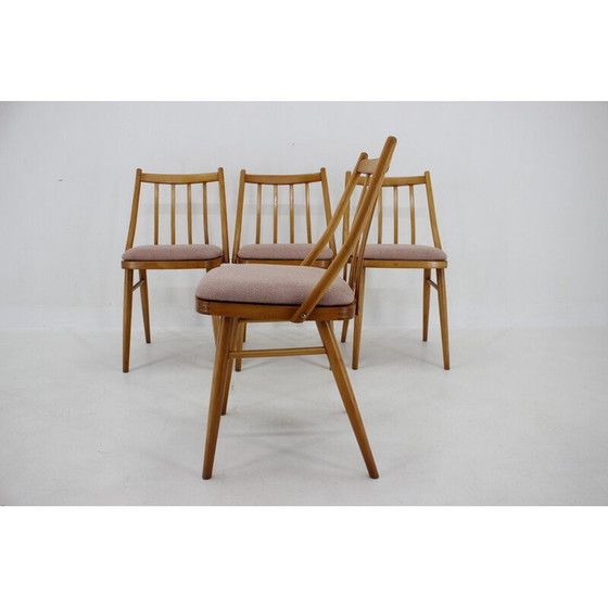 Image 1 of Set van 4 vintage beuken stoelen van Antonin Suman, jaren 1970