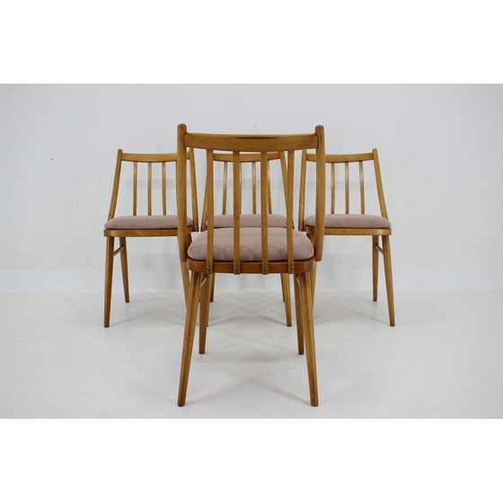 Image 1 of Set van 4 vintage beuken stoelen van Antonin Suman, jaren 1970