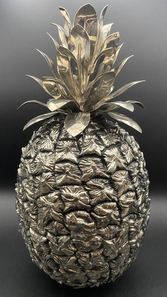 Image 1 of Freddotherm ananas ijsemmer