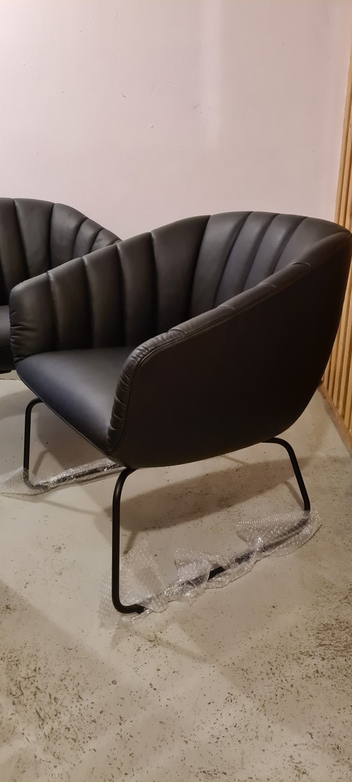 Signet Lenni designer/clubfauteuil leer zwart