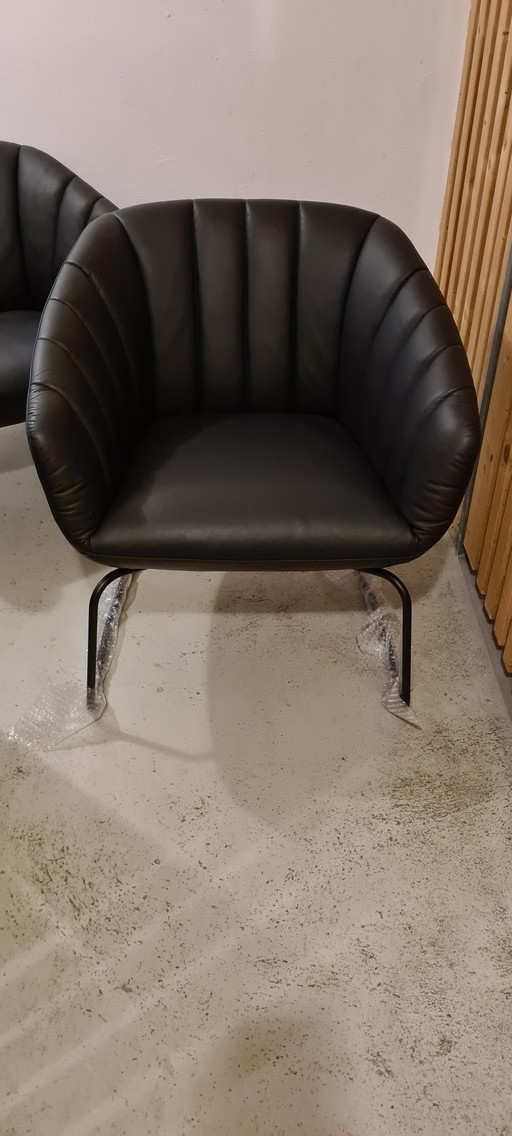 Signet Lenni designer/clubfauteuil leer zwart