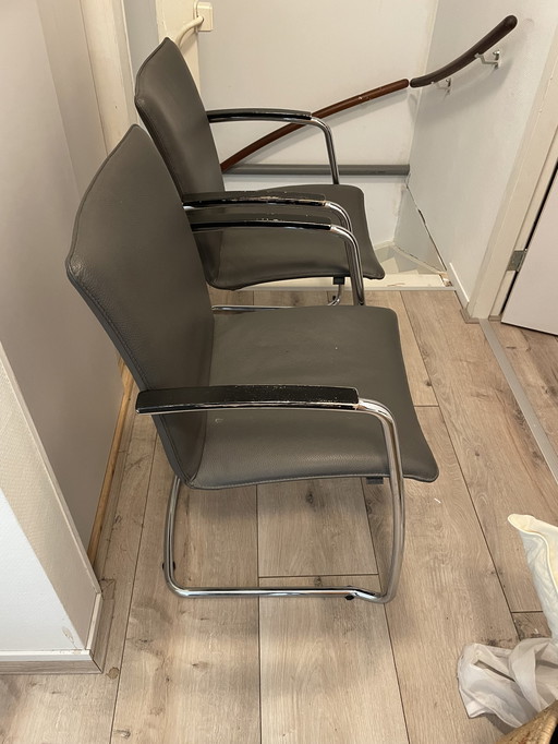 2x Leolux Freyr Eetkamerstoelen