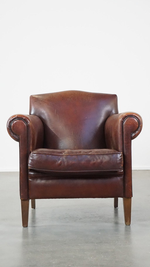 Design Fauteuil/ Armchair Gemaakt Van Schapenleer 