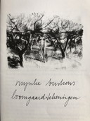 Mynke Busken - Everything Suddenly Changed