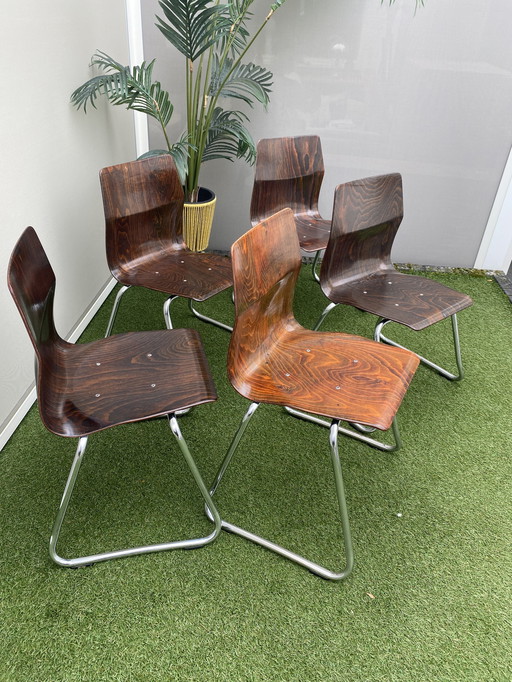 5 stuks plywood vintage chairs