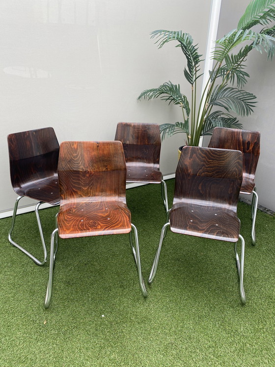 Image 1 of 5 stuks plywood vintage chairs