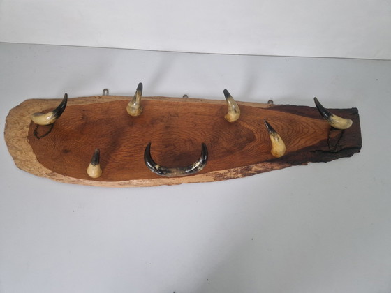 Image 1 of Vintage koeienhoorn kapstok