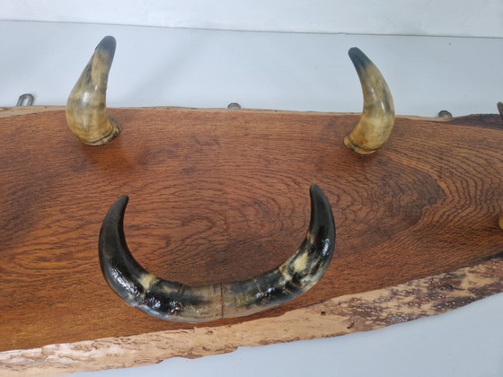 Image 1 of Vintage koeienhoorn kapstok