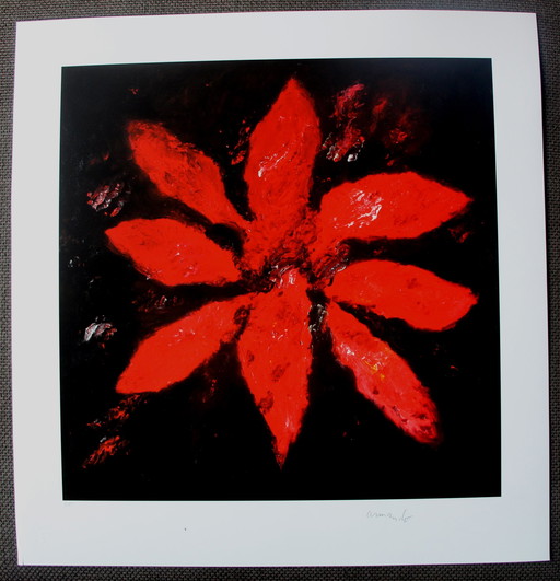 Armando - Giclee: Die blume rot