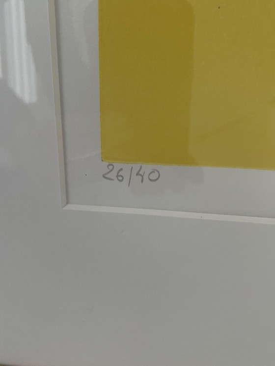 Image 1 of Zeefdruk Lego Lima | Expressionistisch 