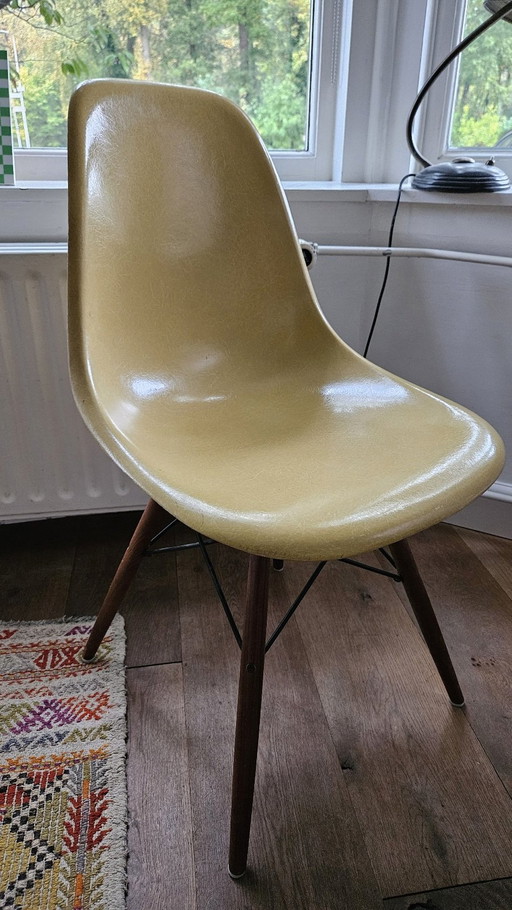 3x DSW Eames Glassfiber Stoelen Vintage