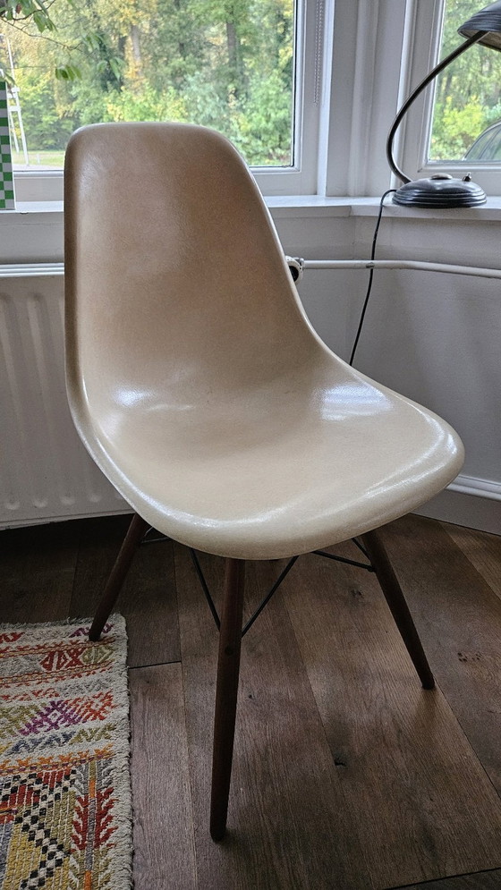 Image 1 of 3x DSW Eames Glassfiber Stoelen Vintage