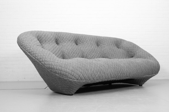 Image 1 of E. & R. Bouroullec voor Ligne Roset Ploum 3-zitsbank en Ottoman