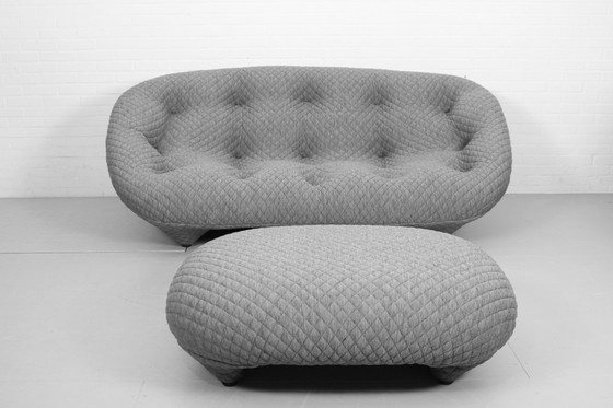 Image 1 of E. & R. Bouroullec voor Ligne Roset Ploum 3-zitsbank en Ottoman