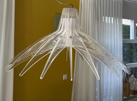 Image 1 of Luceplan Agave Pendant light set