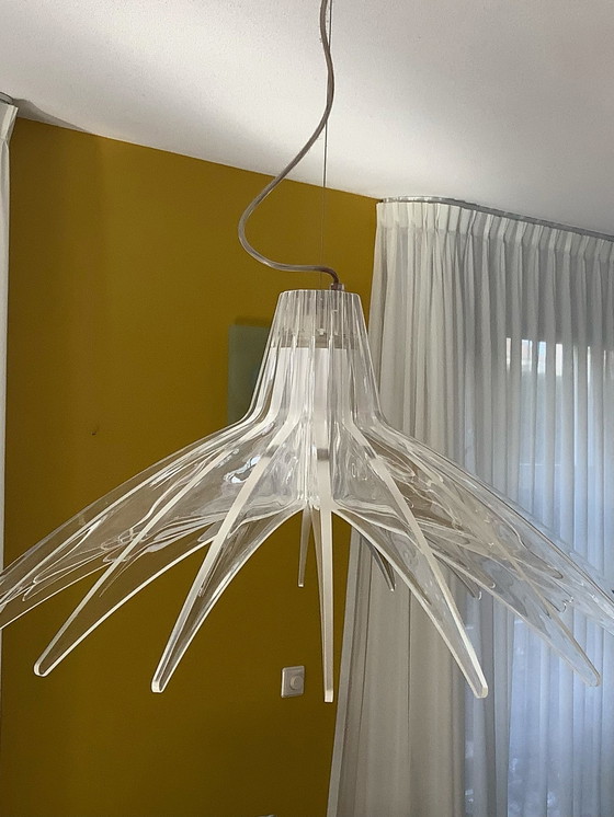 Image 1 of Luceplan Agave Pendant light set