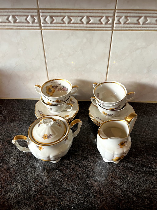 Wakbrzych Poland Servies Set 15 Items