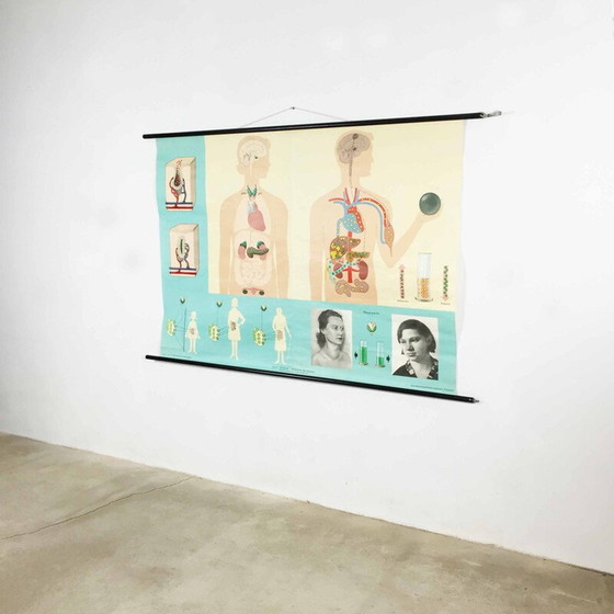 Image 1 of Vintage educatieve poster over hormonen door Jung-Koch Quentell, 1970