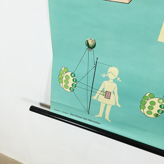 Image 1 of Vintage educatieve poster over hormonen door Jung-Koch Quentell, 1970