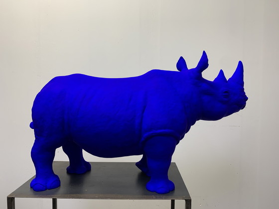 Image 1 of Neushoorn acrylhars